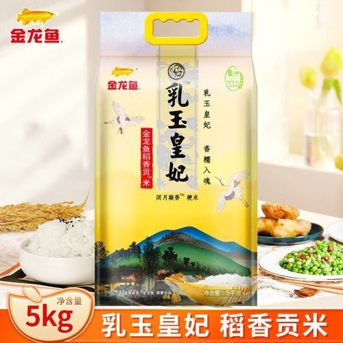 金龍魚的高端產品有哪些（最貴的金龍魚多少錢一條） 金龍魚的高端產品有哪些（最貴的金龍魚多少錢一條） 龍魚百科 第5張