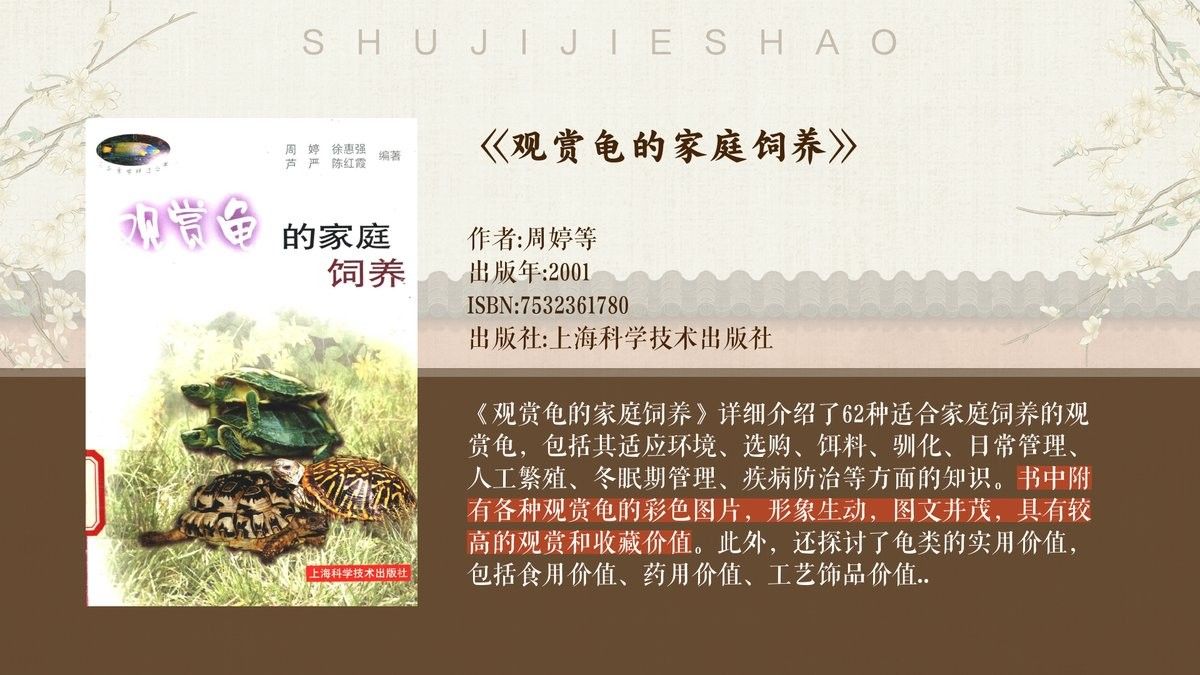 龍龜多久清潔一次合適？（龍龜多久清潔一次）
