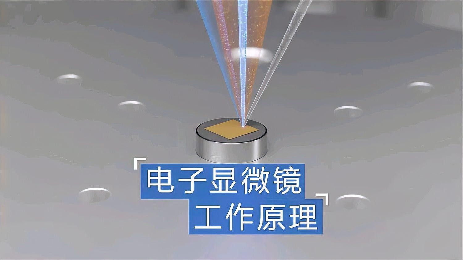 鱗片生長環分析的成本有多高（進行鱗片生長環分析的成本）