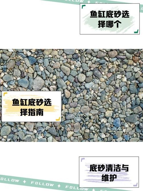 哪種底砂最適合新手？（哪種底砂最適合新手） 哪種底砂最適合新手？（哪種底砂最適合新手） 龍魚百科 第4張