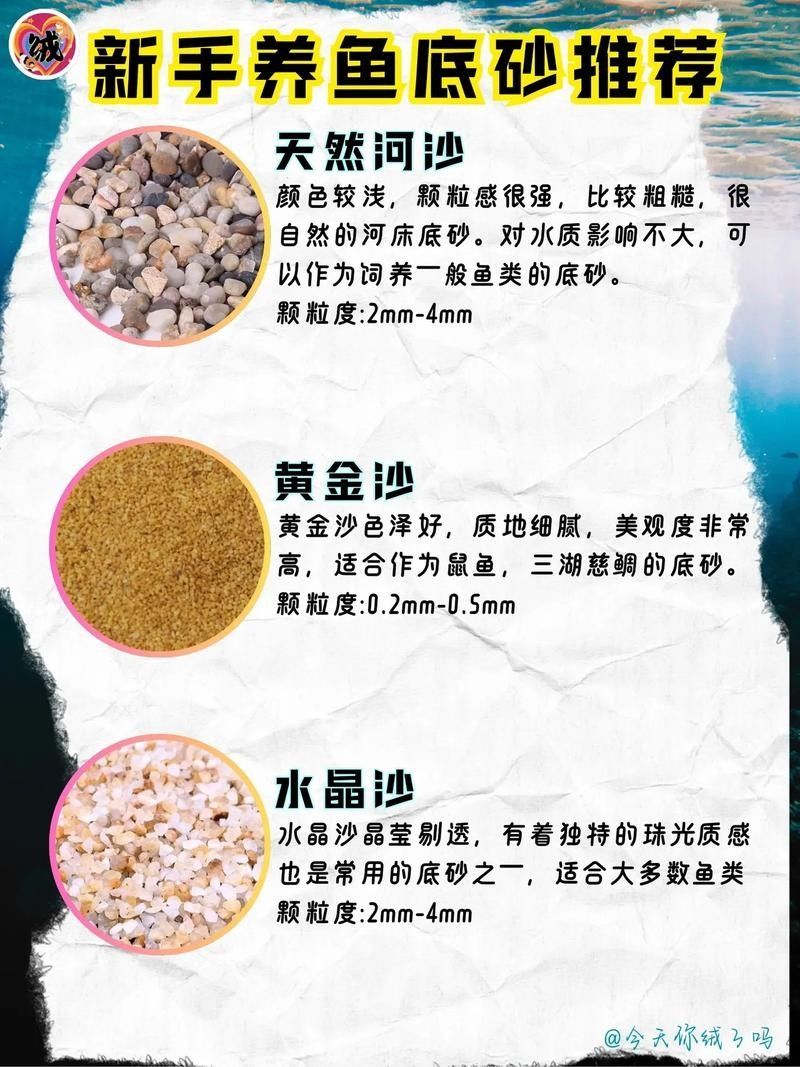 哪種底砂最適合新手？（哪種底砂最適合新手） 哪種底砂最適合新手？（哪種底砂最適合新手） 龍魚百科 第2張