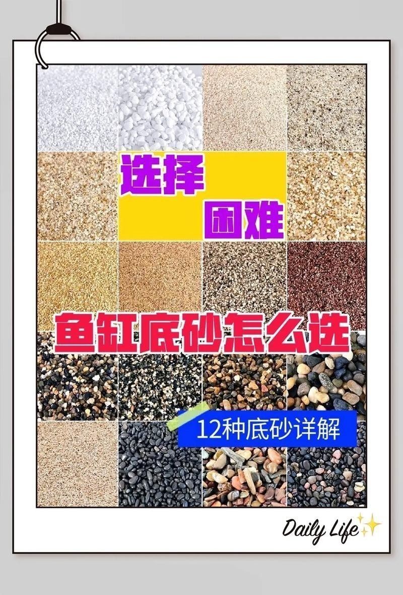 哪種底砂最適合新手？（哪種底砂最適合新手） 哪種底砂最適合新手？（哪種底砂最適合新手） 龍魚百科 第3張