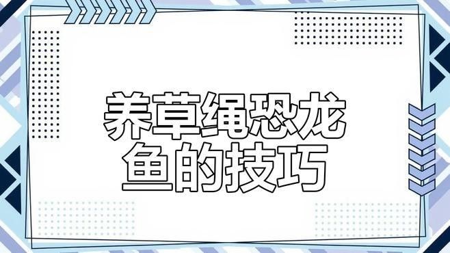哪種恐龍魚最適合家庭飼養(yǎng)(家庭飼養(yǎng)恐龍魚的方法) 龍魚百科 第3張 哪種恐龍魚最適合家庭飼養(yǎng)(家庭飼養(yǎng)恐龍魚的方法) 哪種恐龍魚最適合家庭飼養(yǎng)(家庭飼養(yǎng)恐龍魚的方法) 龍魚百科 第3張