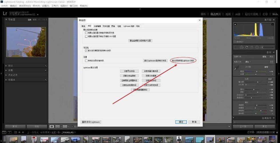 Lightroom Mobile如何批量處理雷龍魚照片（lightroommobile批量處理雷龍魚照片的步驟和方法）