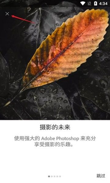 Lightroom Mobile如何批量處理雷龍魚照片（lightroommobile批量處理雷龍魚照片的步驟和方法）