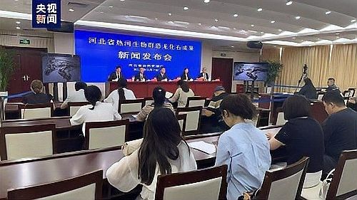 豐寧新屬種與三角龍有何區別？（豐寧新屬種與三角龍的比較研究）