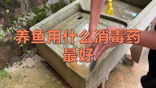 如何給大紅龍魚消毒？（大紅龍魚消毒多長時間少女覺醒30種龍魚疾病治療方法大全） 如何給大紅龍魚消毒？（大紅龍魚消毒多長時間少女覺醒30種龍魚疾病治療方法大全） 龍魚百科 第4張