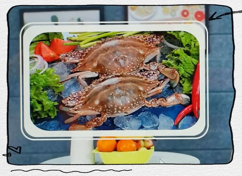 甲殼類食物對龍魚有哪些好處（殼類食物對龍魚有多方面的好處不僅體現(xiàn)在營養(yǎng)補(bǔ)充上）