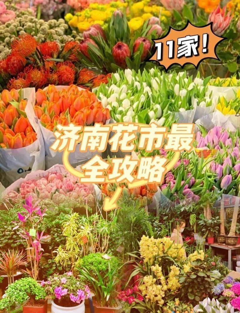 濟南龍魚市場在哪個位置（濟南龍魚市場哪個品種最全） 濟南龍魚市場在哪個位置（濟南龍魚市場哪個品種最全） 龍魚百科 第2張
