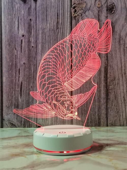 金龍魚燈光需要多大的瓦數（養龍魚不知道怎么選燈泡？） 金龍魚燈光需要多大的瓦數（養龍魚不知道怎么選燈泡？） 龍魚百科 第5張