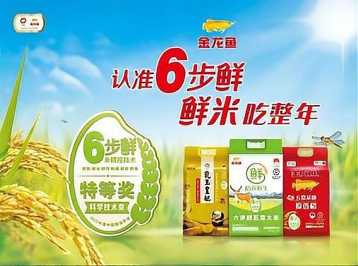 金龍魚生態稻哪個系列最好吃？（金龍魚生態稻哪個系列性價比最高金龍魚生態稻哪個性價比最高） 金龍魚生態稻哪個系列最好吃？（金龍魚生態稻哪個系列性價比最高金龍魚生態稻哪個性價比最高） 龍魚百科 第5張