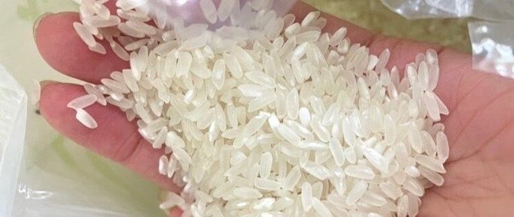 金龍魚生態稻哪個系列最好吃？（金龍魚生態稻哪個系列性價比最高金龍魚生態稻哪個性價比最高） 金龍魚生態稻哪個系列最好吃？（金龍魚生態稻哪個系列性價比最高金龍魚生態稻哪個性價比最高） 龍魚百科 第4張