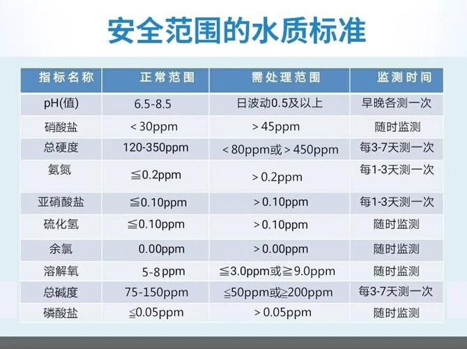 如何選擇適合高背金龍魚的魚缸（適合高背金龍魚的魚缸時需要考慮幾個關鍵因素以確保魚類的健康和魚缸的美觀）
