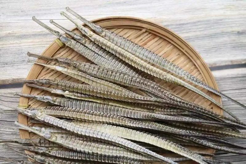 哪些人群不適合使用海龍和海馬（海龍和海馬和海馬的功效與作用及吃海馬的禁忌有哪些）