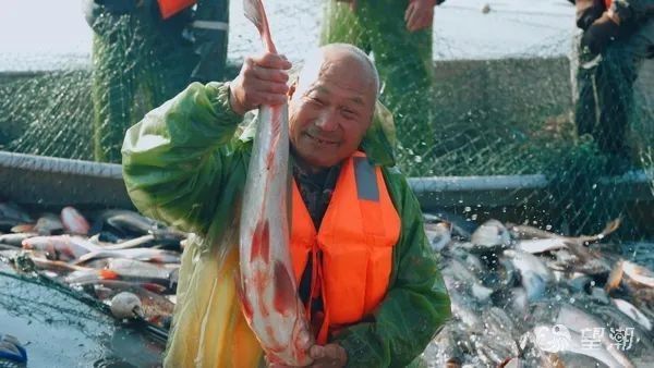 臨沭哪個(gè)水族館龍魚(yú)好？祥龍魚(yú)場(chǎng)龍魚(yú)（臨沭縣的祥龍魚(yú)場(chǎng)是一個(gè)集觀賞、教育與生態(tài)保護(hù)于一體的優(yōu)質(zhì)水族館） 臨沭哪個(gè)水族館龍魚(yú)好？祥龍魚(yú)場(chǎng)龍魚(yú)（臨沭縣的祥龍魚(yú)場(chǎng)是一個(gè)集觀賞、教育與生態(tài)保護(hù)于一體的優(yōu)質(zhì)水族館） 龍魚(yú)百科 第8張