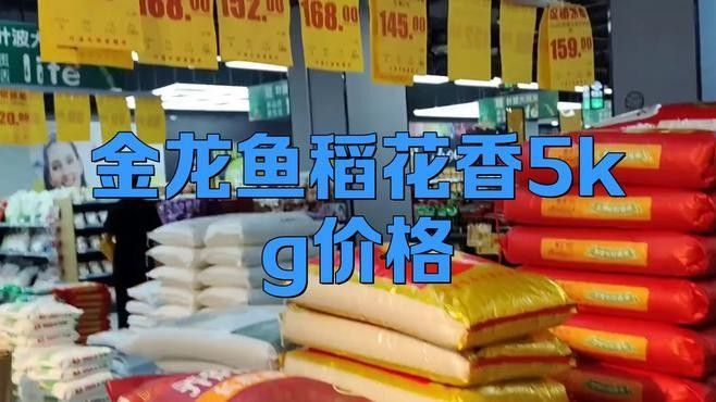 金龍魚(yú)調(diào)價(jià)歷史（金龍魚(yú)價(jià)格調(diào)整） 金龍魚(yú)調(diào)價(jià)歷史（金龍魚(yú)價(jià)格調(diào)整） 龍魚(yú)百科 第9張