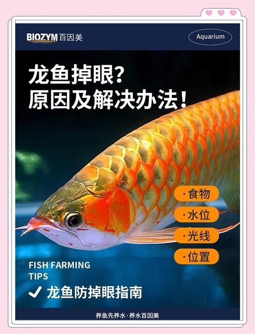 給我一些龍魚掉眼的圖片示例（龍魚掉眼怎么辦）