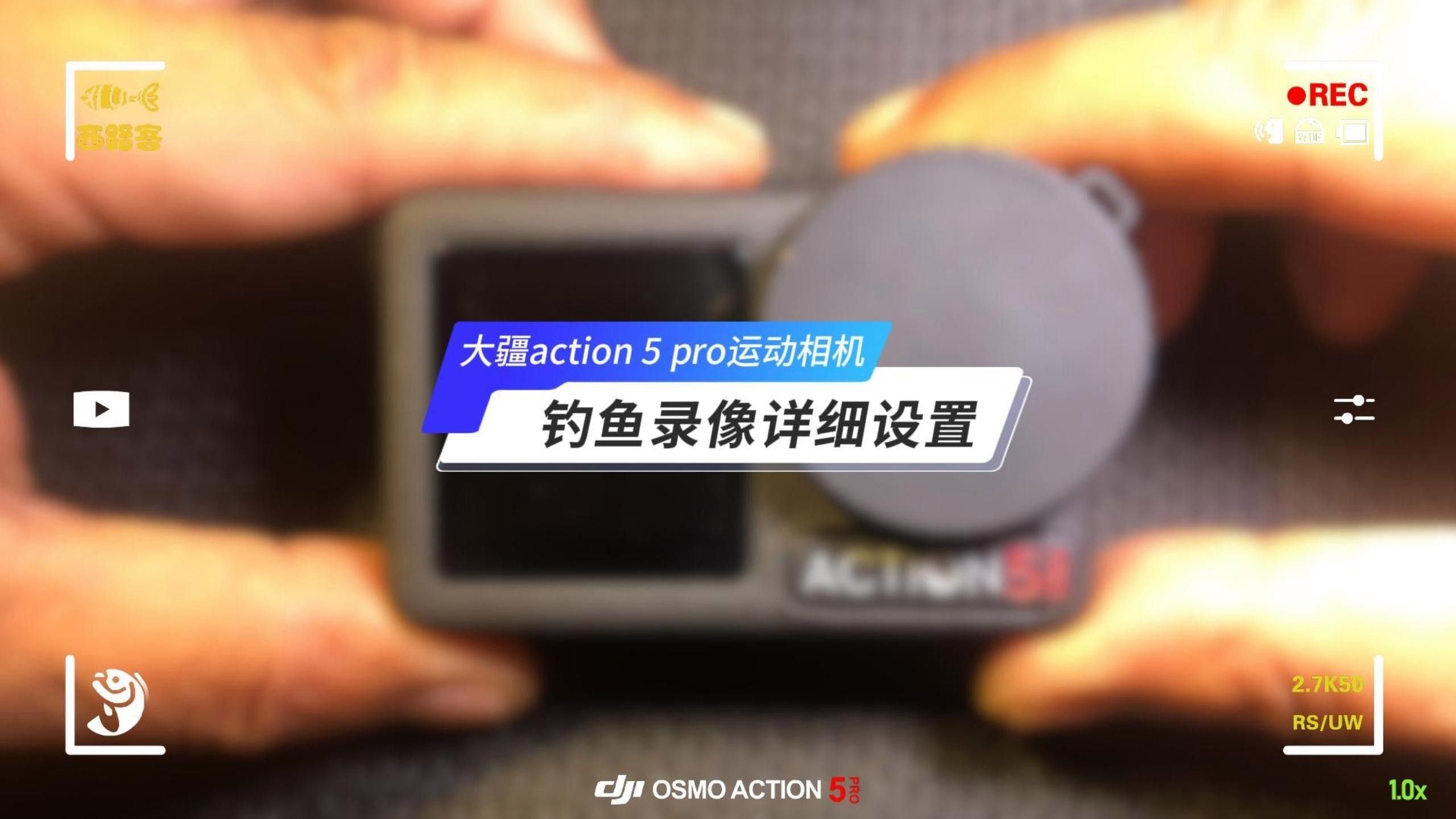 如何拍攝高清的龍魚虎魚圖片（如何在家中拍攝高清龍魚或虎魚）
