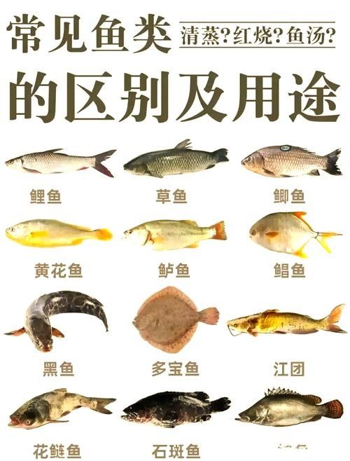 哪種魚更常見于市場？（哪種魚適合新手烹飪，草魚和鰱魚哪個更受歡迎？）