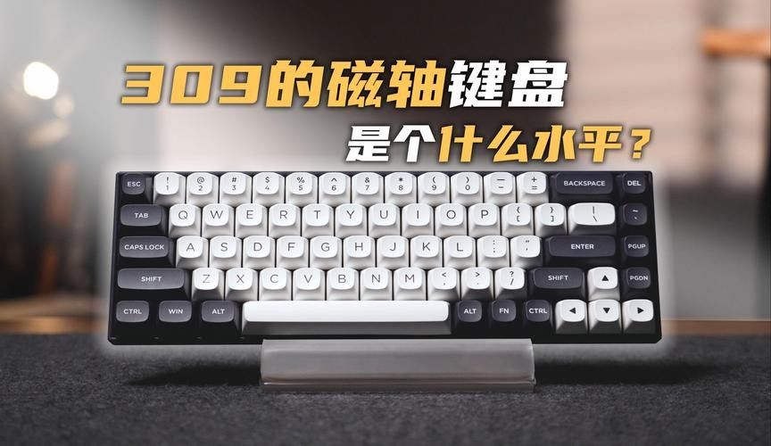紅龍磁軸和Cherry軸有何區(qū)別？（紅龍m61磁軸鍵盤(pán)體驗(yàn)） 紅龍磁軸和Cherry軸有何區(qū)別？（紅龍m61磁軸鍵盤(pán)體驗(yàn)） 龍魚(yú)百科 第6張