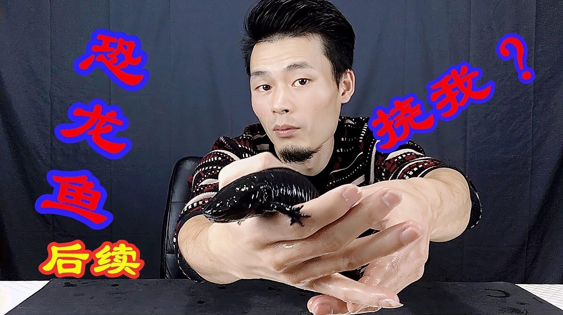 如何訓練恐龍魚提高互動性（如何訓練六角恐龍魚的互動性） 如何訓練恐龍魚提高互動性（如何訓練六角恐龍魚的互動性） 龍魚百科 第1張
