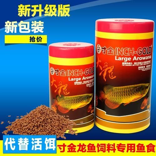 60公分金龍魚喂什么食物最好（60公分金龍魚吃什么食物最好）