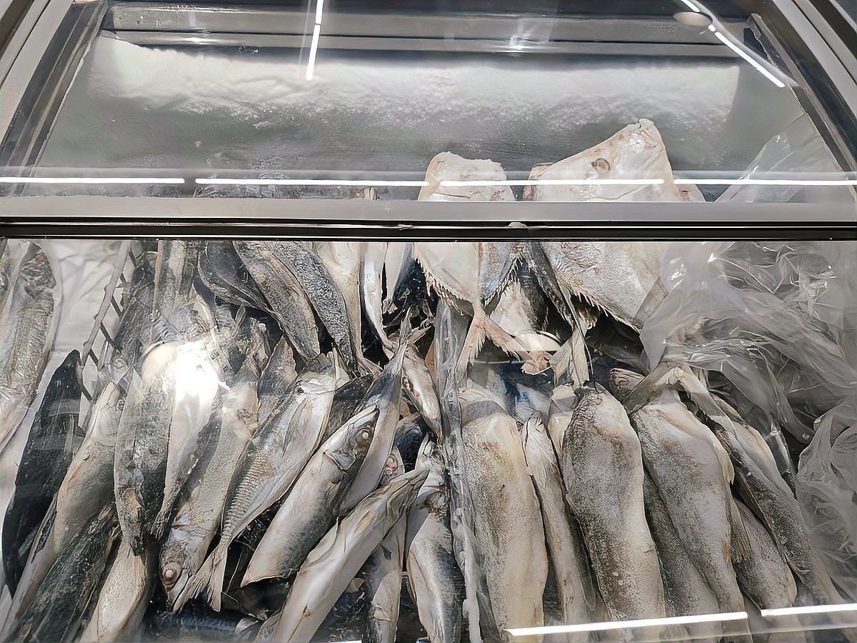 如何家庭自凍龍魚(yú)食物？（如何在家中保存龍魚(yú)？） 如何家庭自凍龍魚(yú)食物？（如何在家中保存龍魚(yú)？） 龍魚(yú)百科 第6張