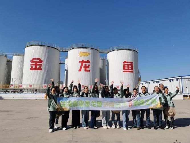 如何聯系金龍魚白城分店？（金龍魚白城分店的聯系方式） 如何聯系金龍魚白城分店？（金龍魚白城分店的聯系方式） 龍魚百科 第5張