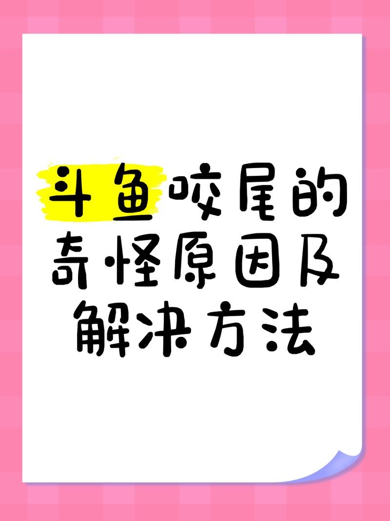 龍魚咬尾能自愈嗎？（資深鏟屎官揭秘龍魚咬尾后能否自愈取決于多種因素） 龍魚咬尾能自愈嗎？（資深鏟屎官揭秘龍魚咬尾后能否自愈取決于多種因素） 龍魚百科 第8張