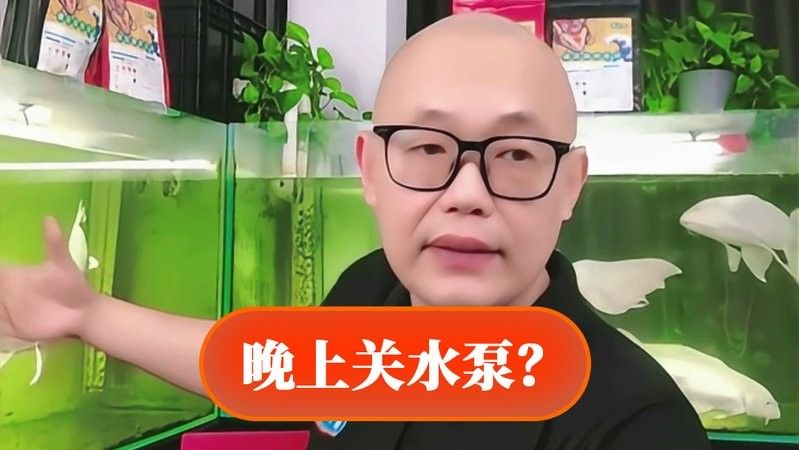 如何選擇適合紅龍魚(yú)的造浪泵？（適合紅龍魚(yú)的造浪泵）