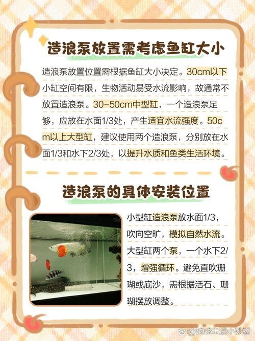 如何選擇適合紅龍魚(yú)的造浪泵？（適合紅龍魚(yú)的造浪泵）