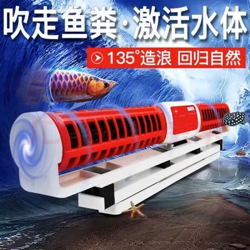 如何選擇適合紅龍魚(yú)的造浪泵？（適合紅龍魚(yú)的造浪泵）