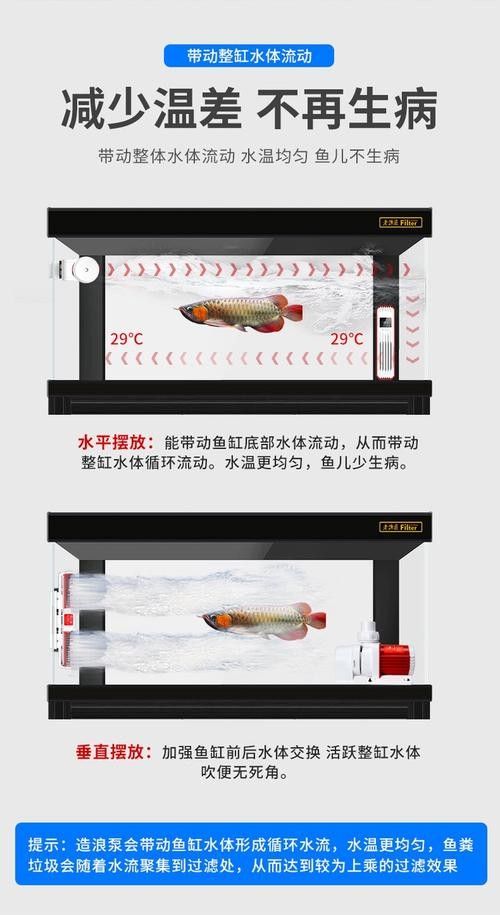 如何選擇適合紅龍魚(yú)的造浪泵？（適合紅龍魚(yú)的造浪泵）