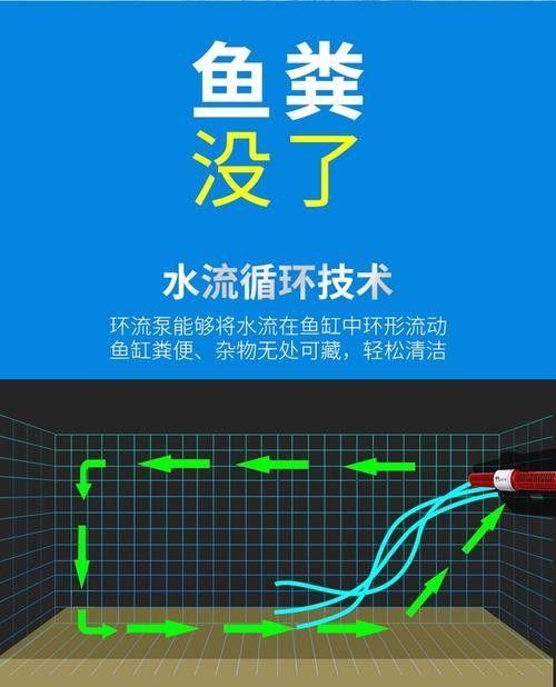 如何選擇適合紅龍魚(yú)的造浪泵？（適合紅龍魚(yú)的造浪泵）