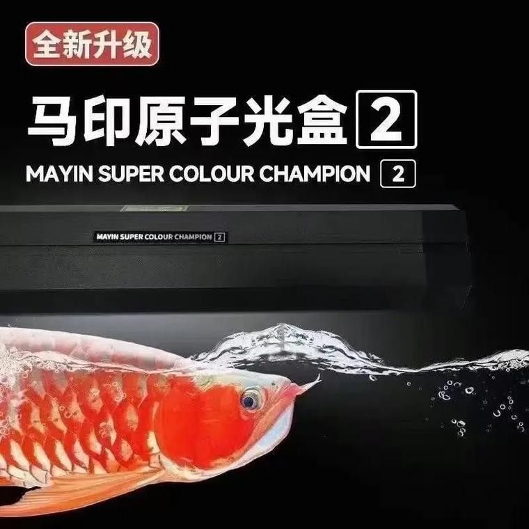 馬印原子光盒二代有哪些型號（馬印原子光盒二代型號）