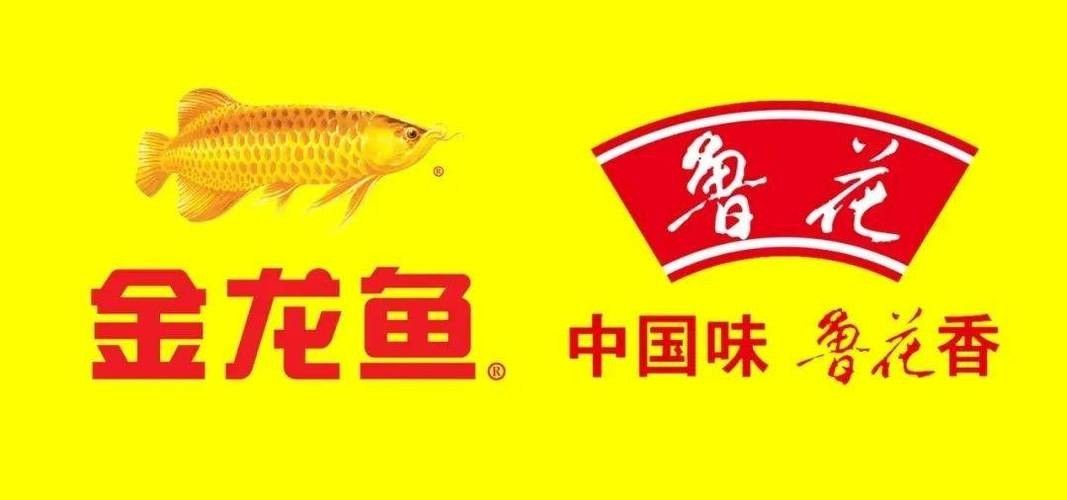 金龍魚的品牌歷史（金龍魚品牌是哪個(gè)國(guó)家的） 金龍魚的品牌歷史（金龍魚品牌是哪個(gè)國(guó)家的） 龍魚百科 第7張
