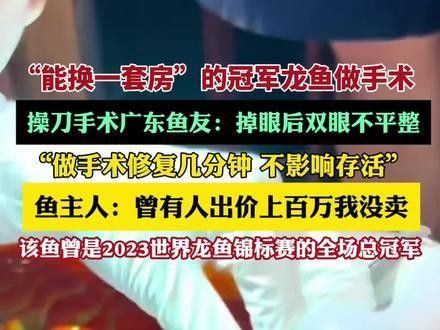 龍魚嘴歪手術費用大概是多少？（魚嘴歪手術費用是多少？）