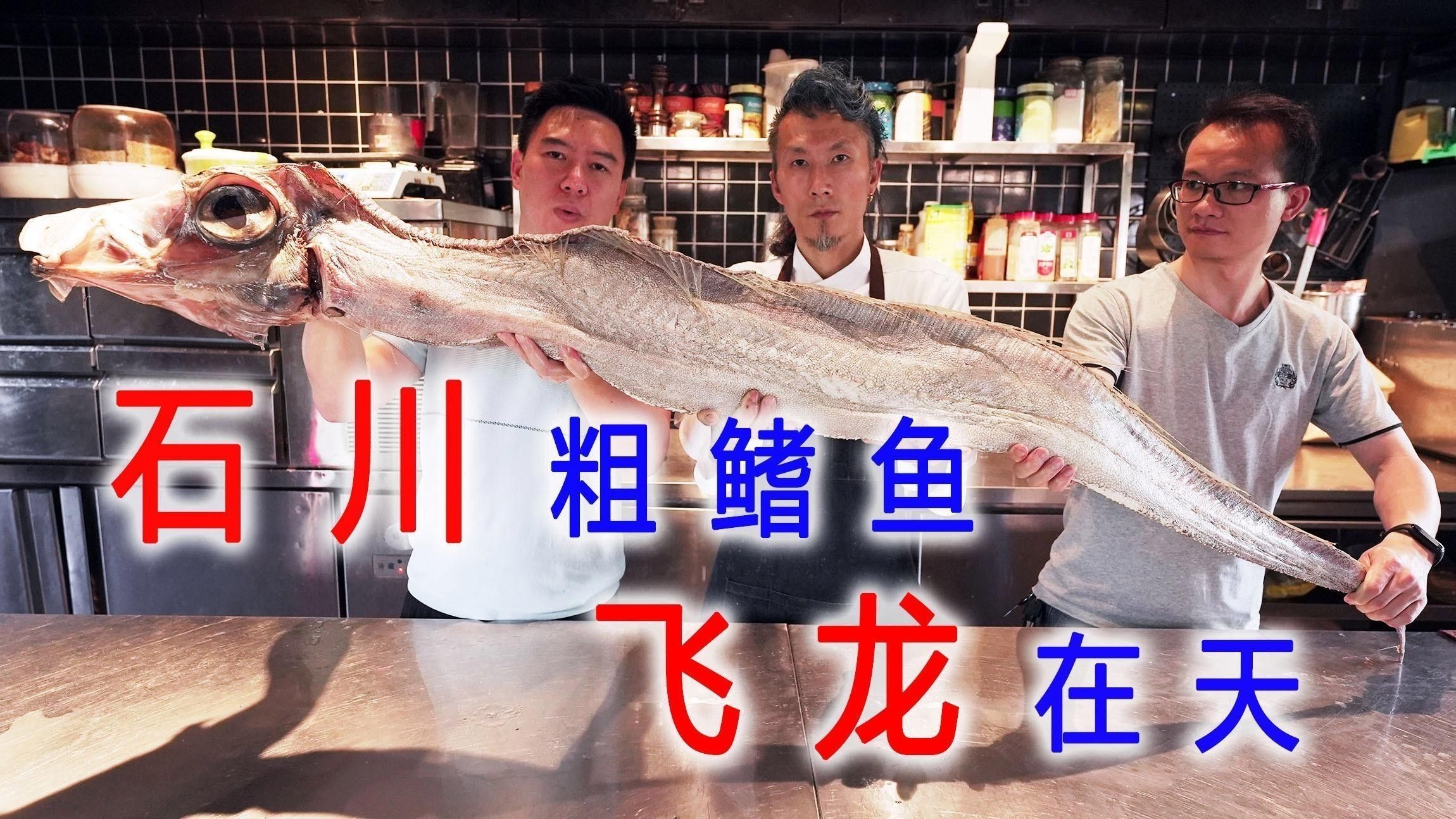 海底飛龍魚有哪些品種（海底飛龍魚品種介紹：海底飛龍魚品種及其特征及其特征）