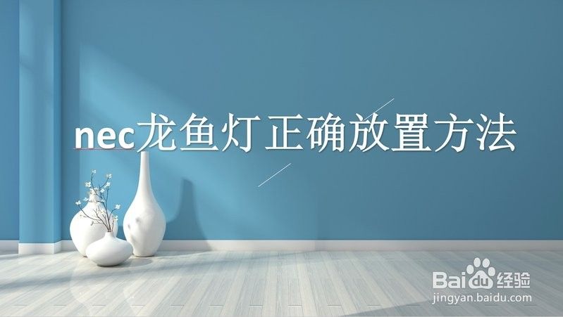 龍魚殺菌燈如何正確安裝（——龍魚殺菌燈安裝步驟）