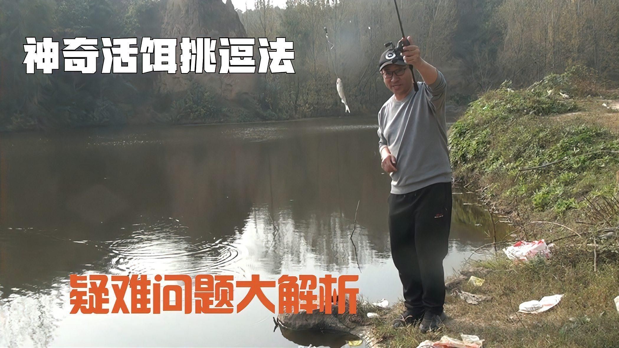 如何確保活餌來源干凈？（如何確保活餌的清潔和健康）