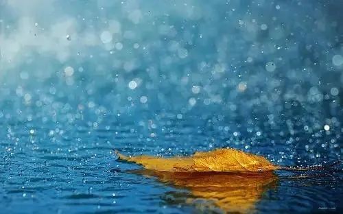梅雨季節如何換水（梅雨季節如何換水？）