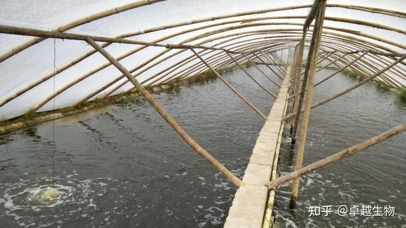 梅雨季節如何換水（梅雨季節如何換水？）