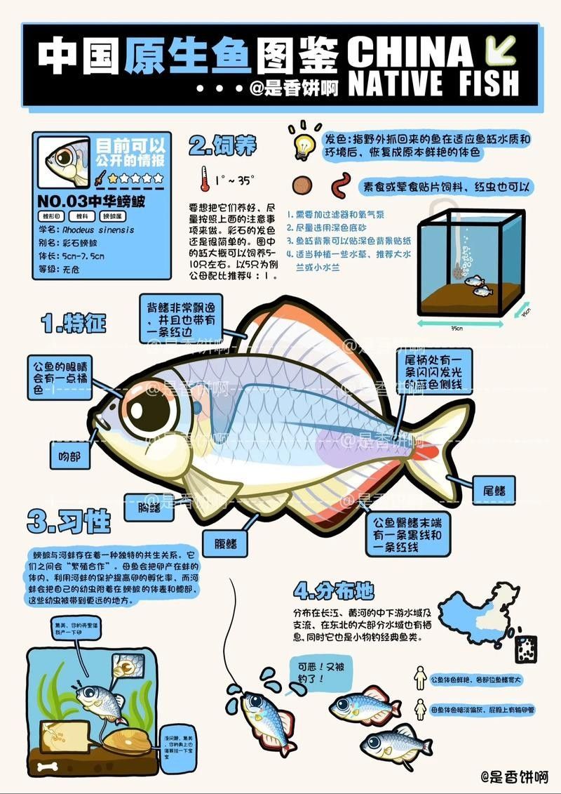 如何判斷鳑鲏魚是否新鮮？（如何判斷[需手動填充][需手動填充]魚新鮮度）
