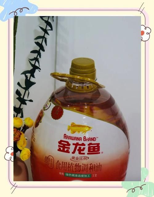 金龍魚零反式脂肪油的價格是多少？（金龍魚零反式脂肪油價格） 金龍魚零反式脂肪油的價格是多少？（金龍魚零反式脂肪油價格） 龍魚百科 第10張