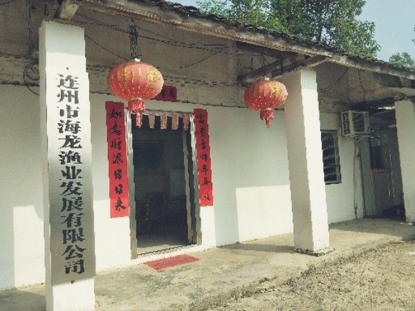 連州哪個水族館龍魚好？祥龍魚場龍魚（廣州龍魚祥龍魚場）