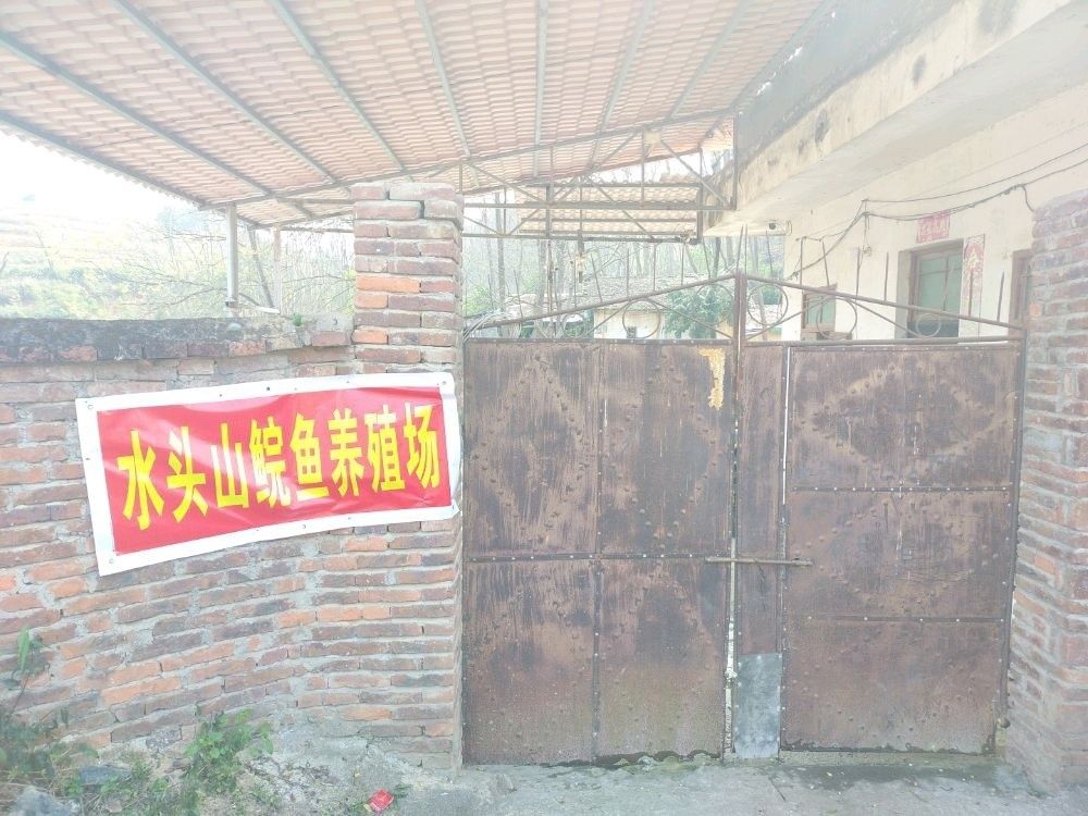 連州哪個水族館龍魚好？祥龍魚場龍魚（廣州龍魚祥龍魚場）