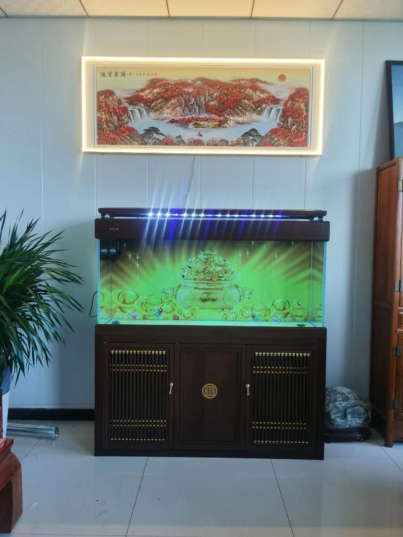 魚缸的尺寸如何選擇？（選擇魚缸尺寸的主要因素） 魚缸的尺寸如何選擇？（選擇魚缸尺寸的主要因素） 龍魚百科 第6張