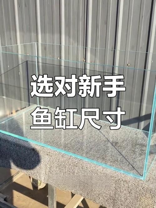 魚缸的尺寸如何選擇？（選擇魚缸尺寸的主要因素） 魚缸的尺寸如何選擇？（選擇魚缸尺寸的主要因素） 龍魚百科 第7張