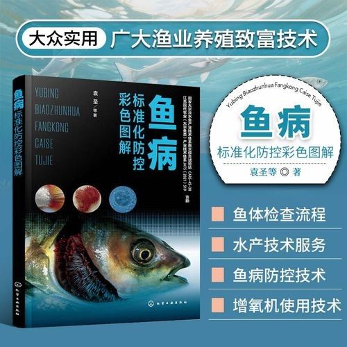 如何預(yù)防小魚疾病？（三農(nóng)科普|災(zāi)后養(yǎng)殖魚常見22種魚病防治方法匯總）