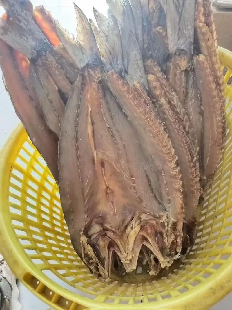哪里可以找到更多馬古龍魚圖片（如何找到馬古龍魚圖片） 哪里可以找到更多馬古龍魚圖片（如何找到馬古龍魚圖片） 龍魚百科 第21張